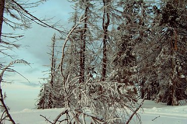 Turbacz 28-31 Stycznia 2008 #Matys #turbacz #podhale #gorce #gpn #czolo #turbacza