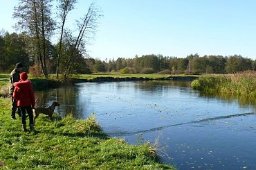 Poszukiwania neodymem #PoszukiwaniaNeodymem #magnes #magnesik #poszukiwania #kwj #mazury #RzekaPisa