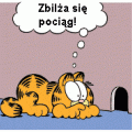 Garfield 29.02.2008r.