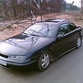 Calibra dach 2008