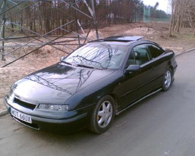 Calibra dach 2008