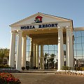 Noria Resort - to jest to! : #litery #żywopłot #ogrodnictwo #kwiaty #rośliny #egipt #synaj #hotel #noria #resort