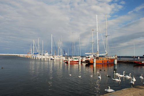 Gdyńska Marina