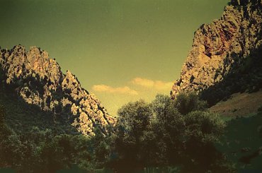 Góry koło Kljuća, Bosnja #góry #zarośla #Bosnja