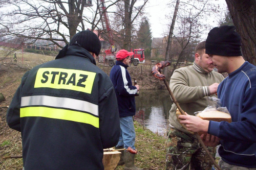 Przycinka drzew nad stawem salinarnym