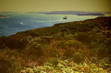 Brzeg National Park, Sydney #brzeg #trawa #ocean #Sydney