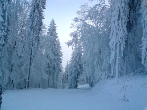 Słotwiny 23.12.07.