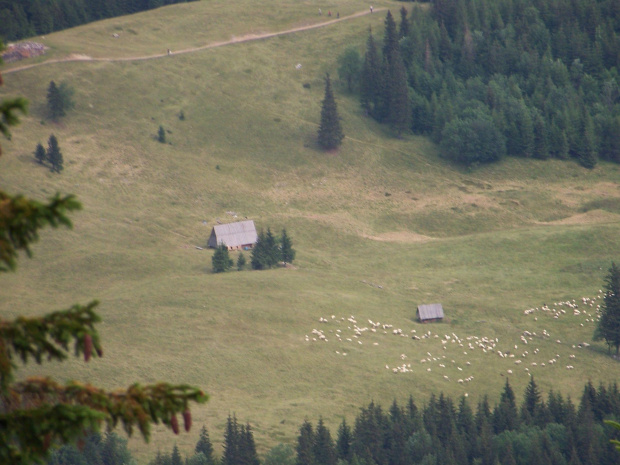 widok z Myślenickich Turni na Kalatówki