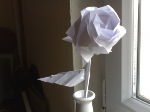 Róża z kielichem, łodygą i listkiem :P