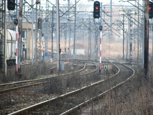 Chorzów Stary - pajęczyna trakcji, widok w stronę Chorzowa Miasto