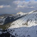 ślą ukłony ku słońcu #Tatry