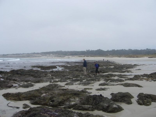 the coast close to Pacific Grove