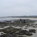 the coast close to Pacific Grove