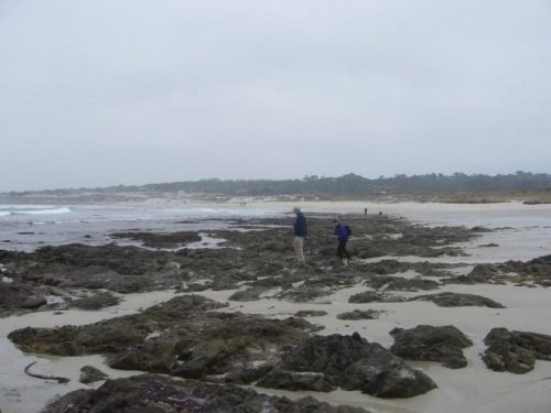 the coast close to Pacific Grove