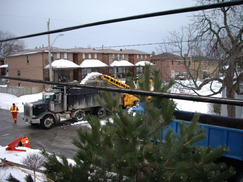 13 marca 2008
wywoz sniegu z mojej ulicy
- Toronto ma 9,500 ulic