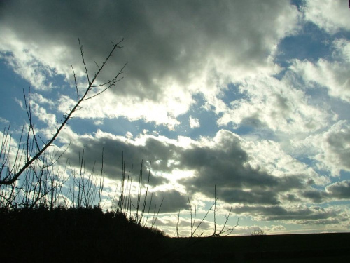 Sky in the home...