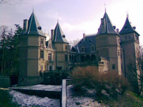 Zamek w Gołchowie #zamki