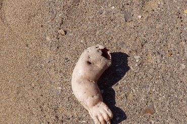 wspomnienie lata #lato #wakacje #morze #ciekawostki