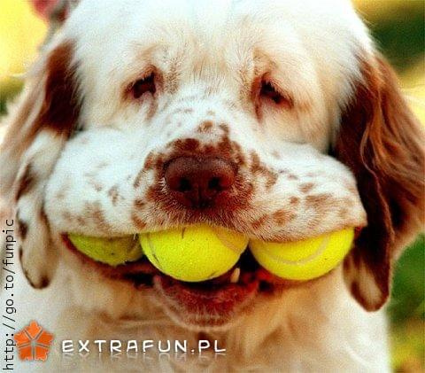 extrafun