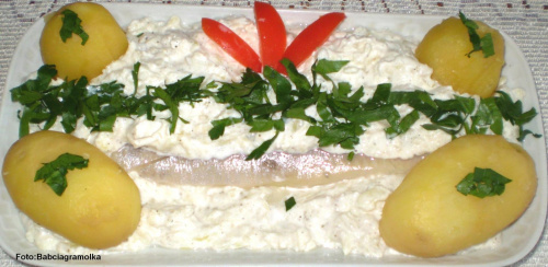 Śledź pod pierzynką cebulowo-jabłkową.Przepisy: www.foody.pl , WWW.kuron.pl i http://kulinaria.uwrocie.info/ #DrugieDania #obiad #kulinaria #jedzenie #ryba #śledź #cebula #jabłko