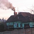 Ekologia