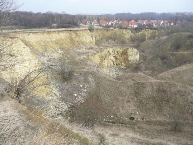 Mikołów-Mokre miejsce dawnego wydobycia wapienia #Wykopalisko #Mikołów #Mokre #Śląsk #Ogród #botaniczny #wapień #krajobraz