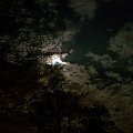 Niebo nocą #przyroda #natura #niebo #księżyc