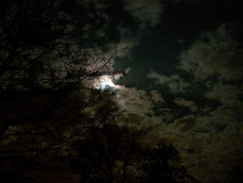 Niebo nocą #przyroda #natura #niebo #księżyc