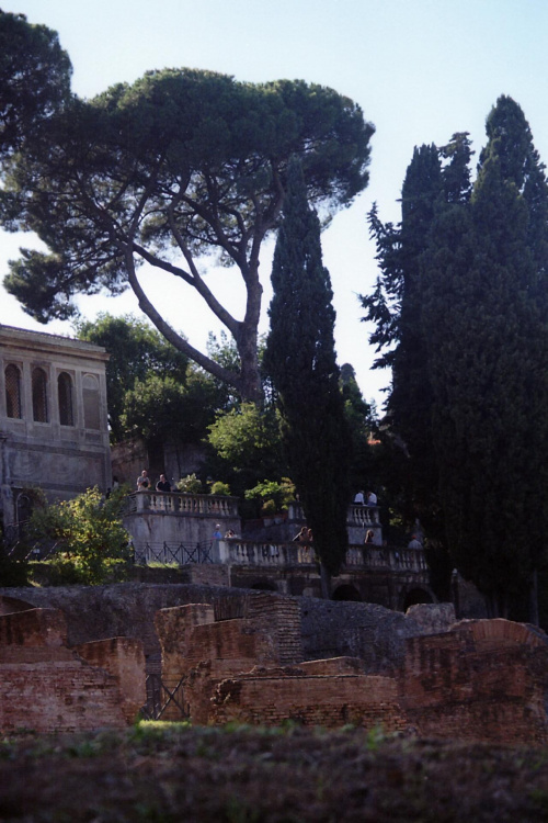 ...piękno Forum Romanum...