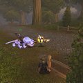World of Warcraft