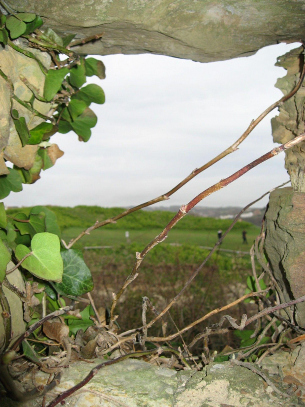 hastings castle