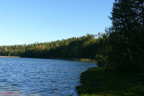 Jezioro Jegocin #JezioroJegocin #JezioraMazurskie #Mazury