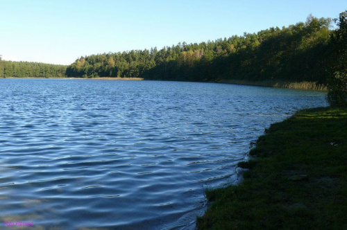 Jezioro Jegocin #JezioroJegocin #JezioraMazurskie #Mazury