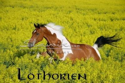 lothorien