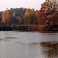 Jesień nad wodą #Koluszki #jesień #Rochna