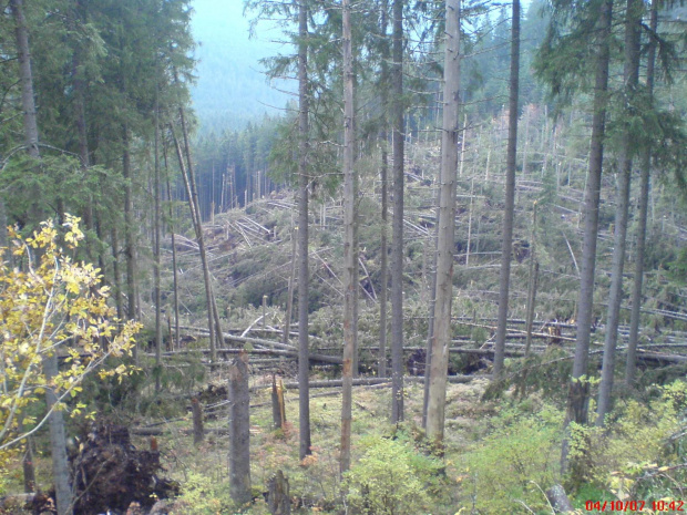 Zakopane. Robione moim k750i.