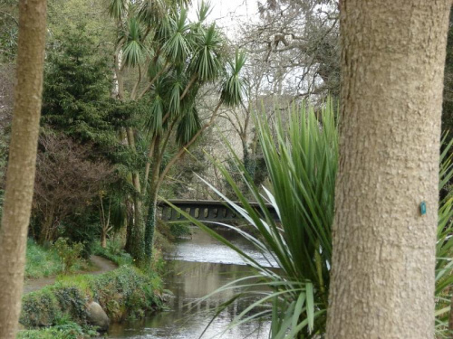 Mount Usher Gardens