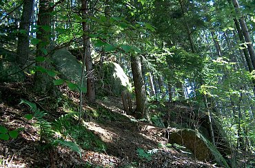 Jezioro Wrzeszczyńskie oraz okolice #ZaporaWodna #krajobraz #ElektrowniaWodna #pilchowice #JeleniaGóra #tama #bóbr #natura #przyroda #rzeka #jezioro #las