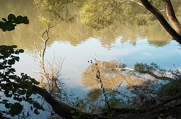 Jezioro Wrzeszczyńskie oraz okolice #ZaporaWodna #krajobraz #ElektrowniaWodna #pilchowice #JeleniaGóra #tama #bóbr #natura #przyroda #rzeka #jezioro #las