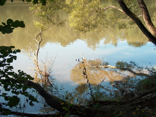 Jezioro Wrzeszczyńskie oraz okolice #ZaporaWodna #krajobraz #ElektrowniaWodna #pilchowice #JeleniaGóra #tama #bóbr #natura #przyroda #rzeka #jezioro #las
