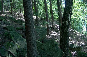 Jezioro Wrzeszczyńskie i okolice #ZaporaWodna #krajobraz #ElektrowniaWodna #pilchowice #JeleniaGóra #tama #bóbr #natura #przyroda #rzeka #jezioro #las