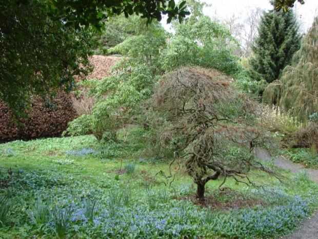 Mount Usher Gardens