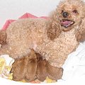 FANNY kochana mamusia karmi dzieciaczki