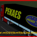 Mercedes actros 1844