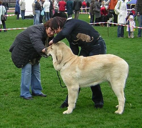 Lublin 2008