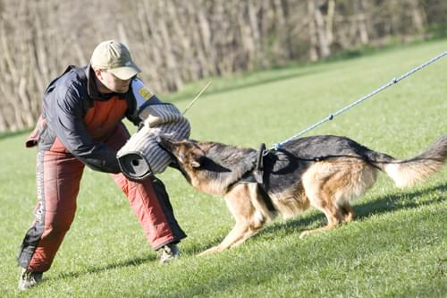 Trening obrony