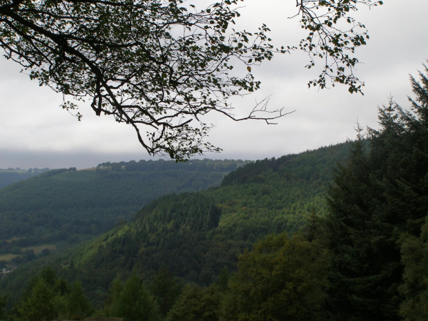 Forest Drive UK/Welsh