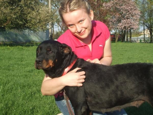 Buba na tymczsiku u cioci Danusi #pies #rottweiler