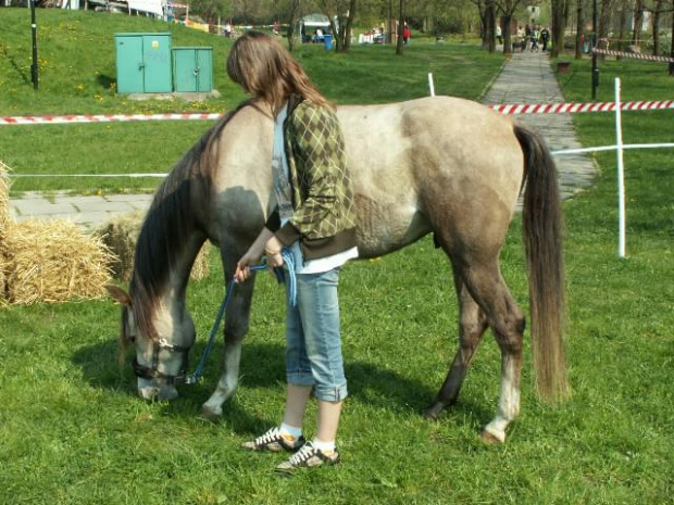 Dzień Ziemi na Polu Mokotowskim. 27.04.2008 rok.