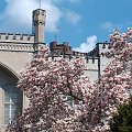 Arboretum Kornik -Wielkopolska